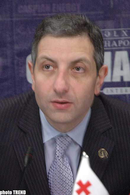 Georgian Prime Minister Convinced that Developments in   Georgia Prove Democratic Principles